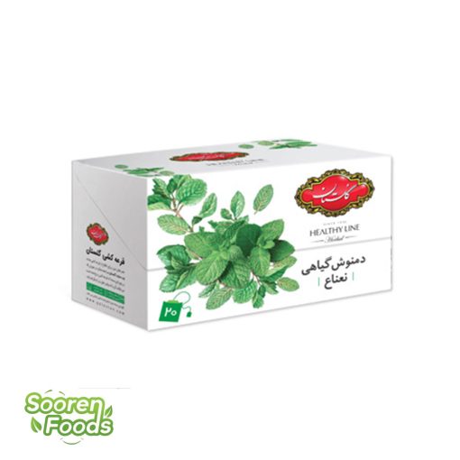 دمنوش نعناع گلستان