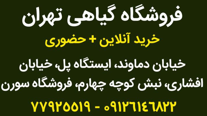 فروشگاه گیاهی تهران سورن فودز