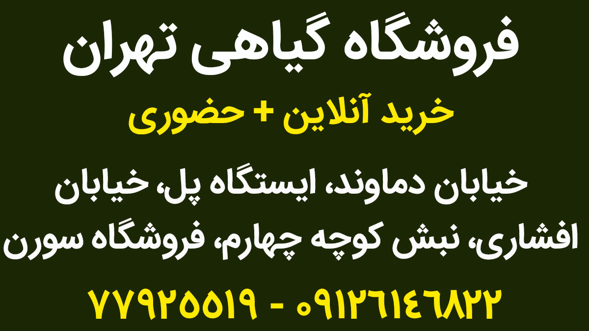فروشگاه گیاهی تهران سورن فودز