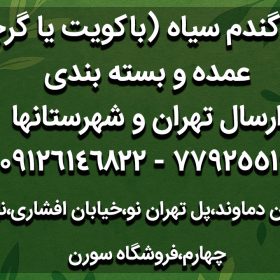 خرید گندم سیاه ارگانیک در تهران | باکویت (گرچکا) بدون گلوتن و کم‌کالری