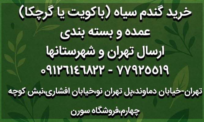 خرید گندم سیاه ارگانیک در تهران | باکویت (گرچکا) بدون گلوتن و کم‌کالری