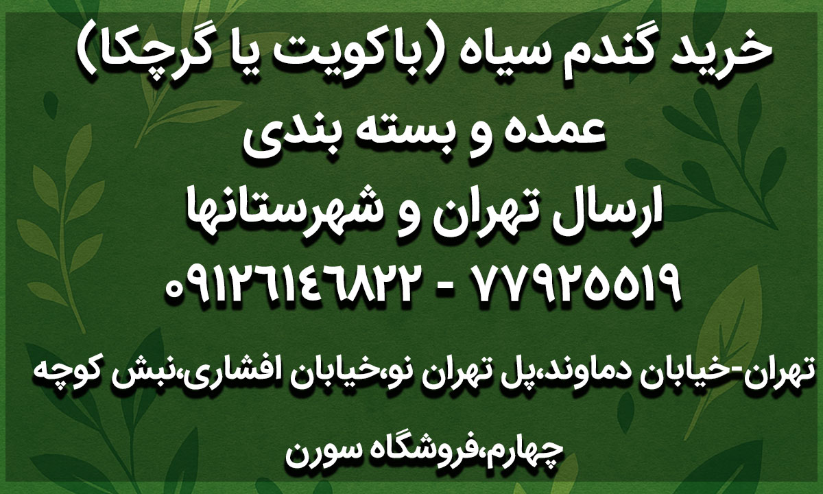 خرید گندم سیاه ارگانیک در تهران | باکویت (گرچکا) بدون گلوتن و کم‌کالری