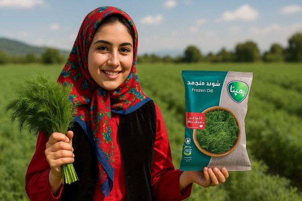 دختر مازندرانی باحجاب در مزرعه شوید، در حال گرفتن دسته شوید تازه و بسته‌بندی شوید منجمد پمینا